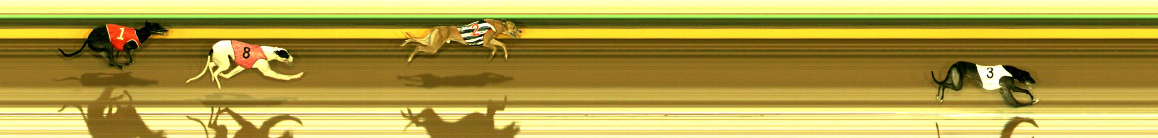 Race result finish photo